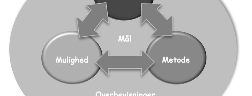 Hvis du er projektleder i et projekt, hvor du har ansvar for værdiskabelsen, vil du komme til at stå foran en udfordring: At få mennesker til at ændre adfærd for at realisere de værdier i projektet, du har planlagt. Det er en allestedsnærværende udfordring i projektledelsens verden.